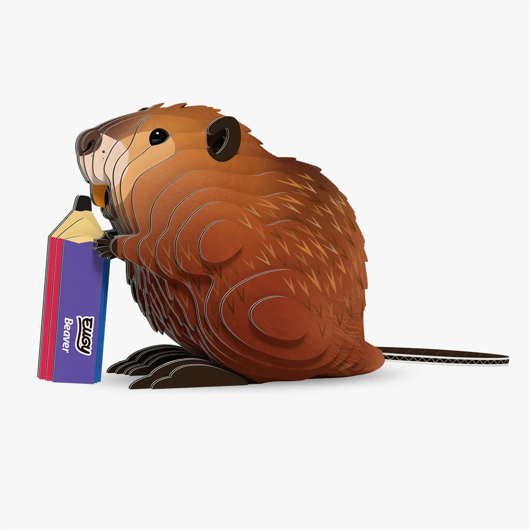 Eugy 3D Model Kit - Beaver